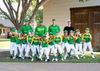 Ducks-312