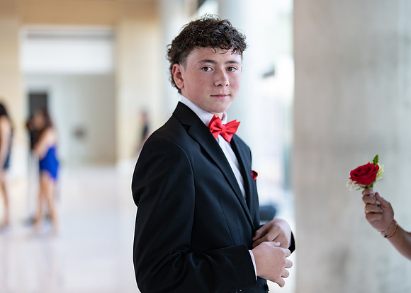 HOCO-6