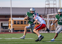 Lovejoy Vs. JV-15