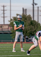 Lovejoy Vs. JV-17