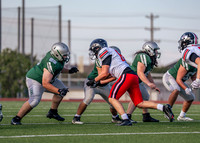 Lovejoy Vs. JV-19