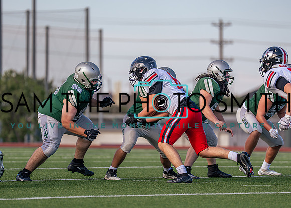 Lovejoy Vs. JV-19