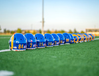 Rams-91
