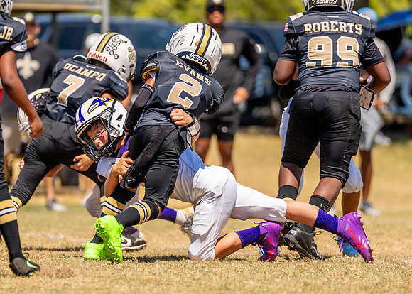 Ravens Vs. Saints-30