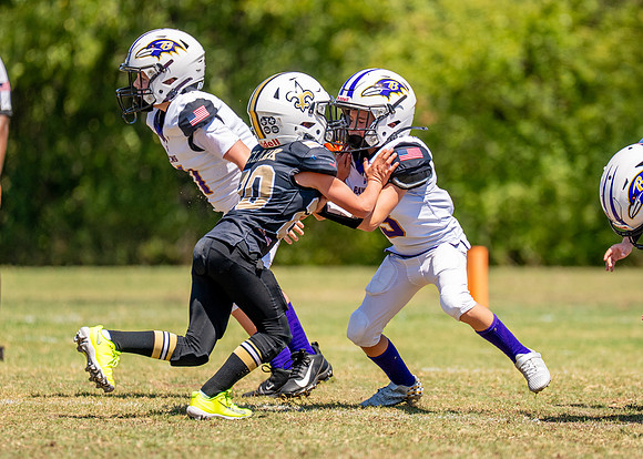 Ravens Vs. Saints-49