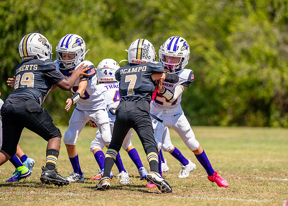 Ravens Vs. Saints-55