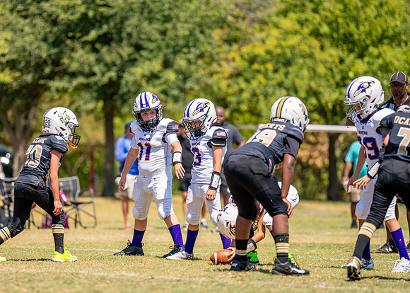 Ravens Vs. Saints-58