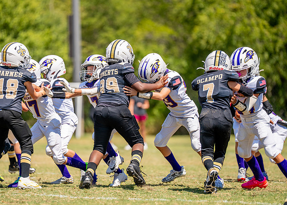 Ravens Vs. Saints-65