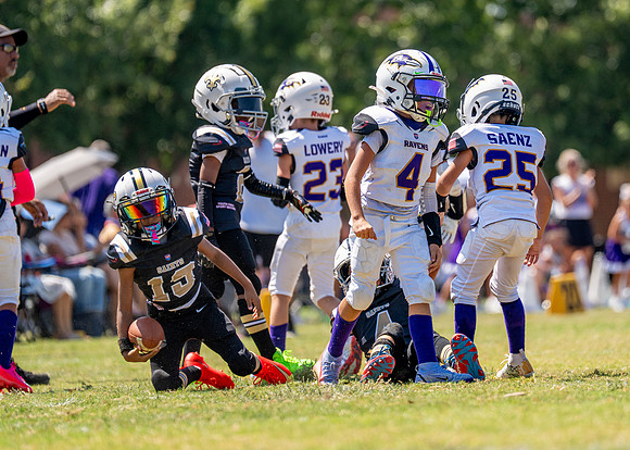 Ravens Vs. Saints-101