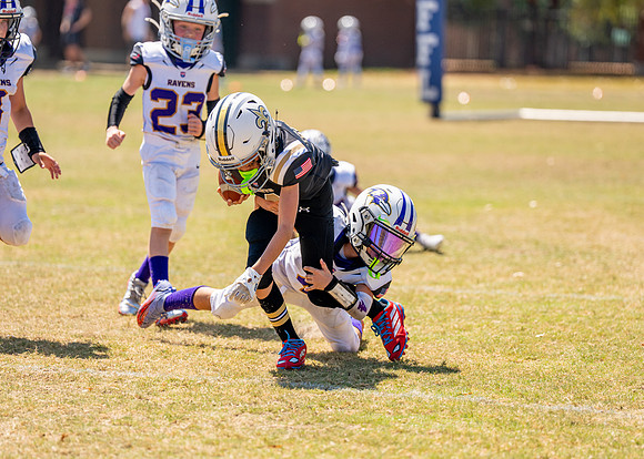 Ravens Vs. Saints-150