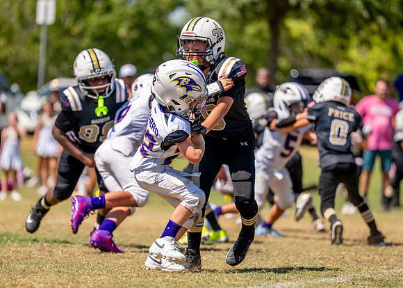 Ravens Vs. Saints-181