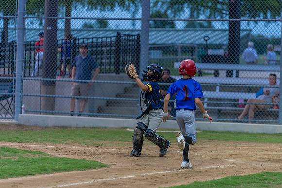 Wolverines_-230