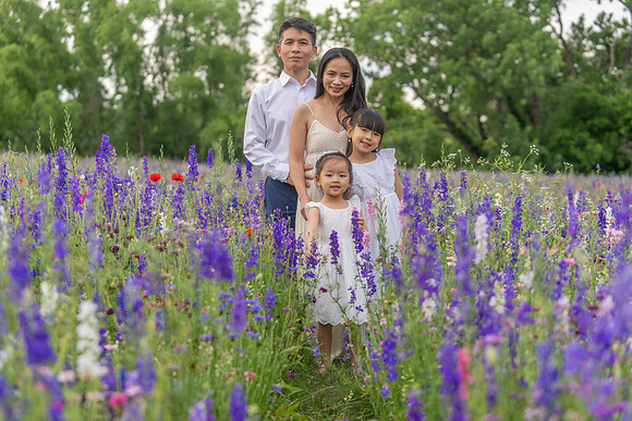 Nguyen Family Spring-61
