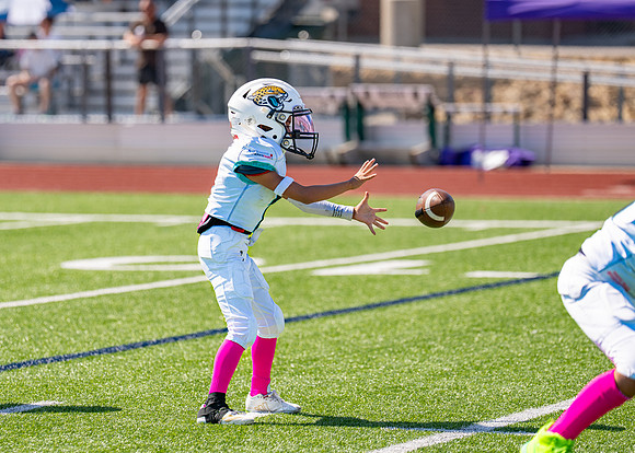 8U Jags Vs. Ravens-94
