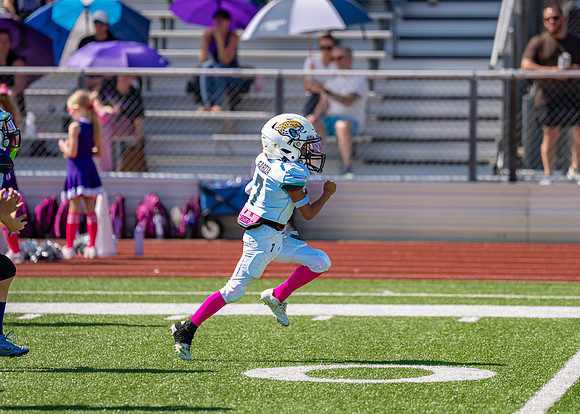 8U Jags Vs. Ravens-90