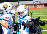 8U Jags Vs. Ravens-11