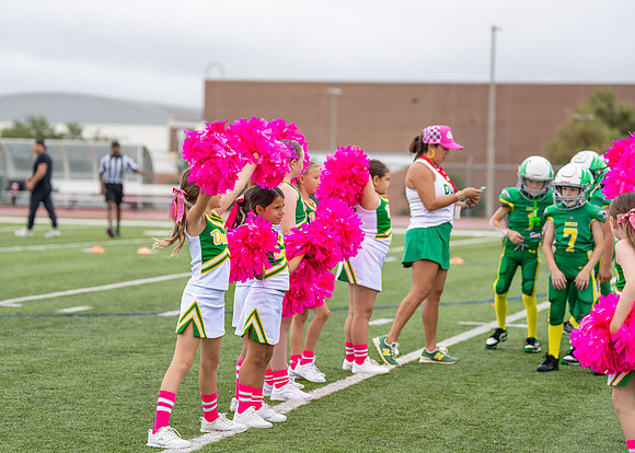 8U Ducks Cheer Sideline-47