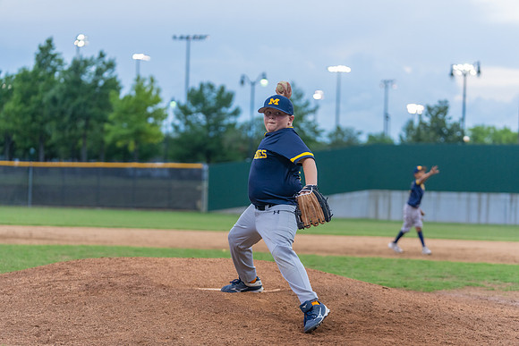 Wolverines_-210