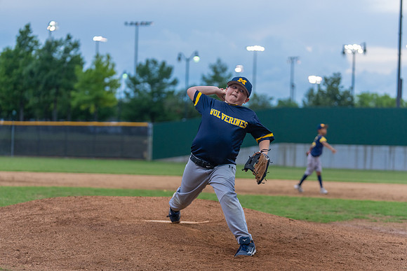 Wolverines_-212