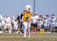 10U Cowboys Vs. Tigers-14