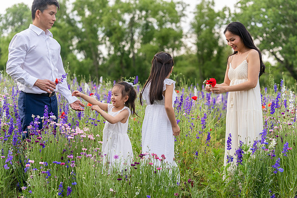 Nguyen Family Spring-127