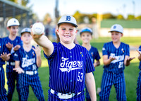 10U Tigers Baseball-54