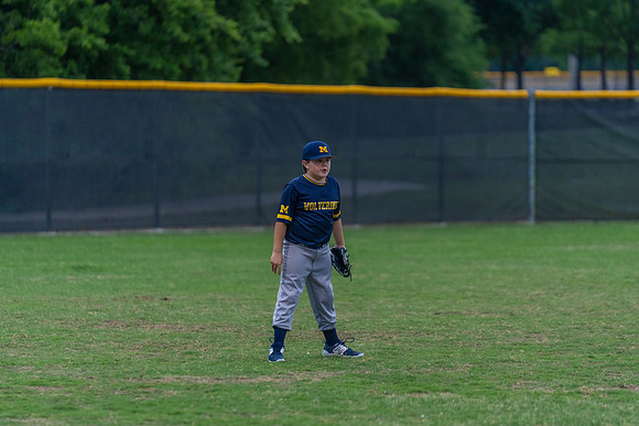 Wolverines_-221