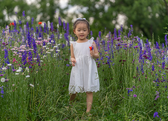 Nguyen Family Spring-91