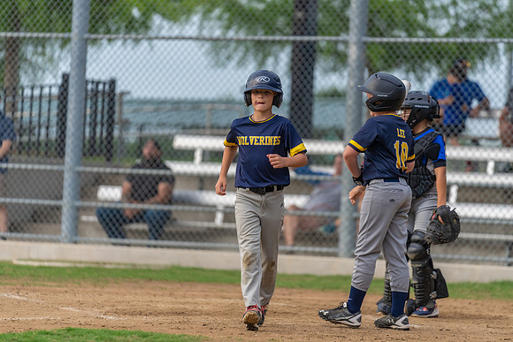 Wolverines_-148