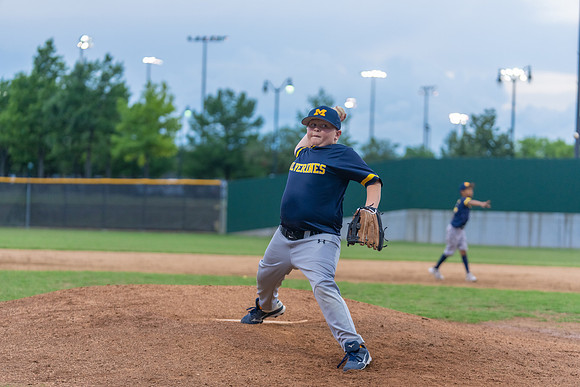 Wolverines_-211