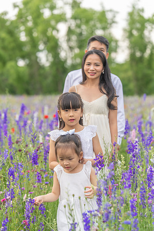Nguyen Family Spring-68