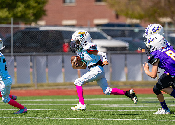 8U Jags Vs. Ravens-38