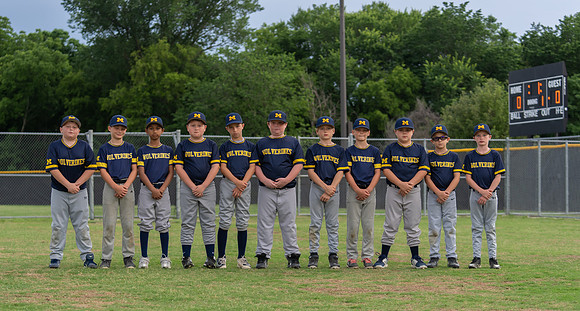 Wolverines_