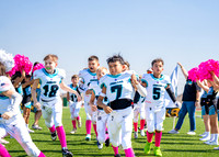 8U Jags Vs. Ravens-4