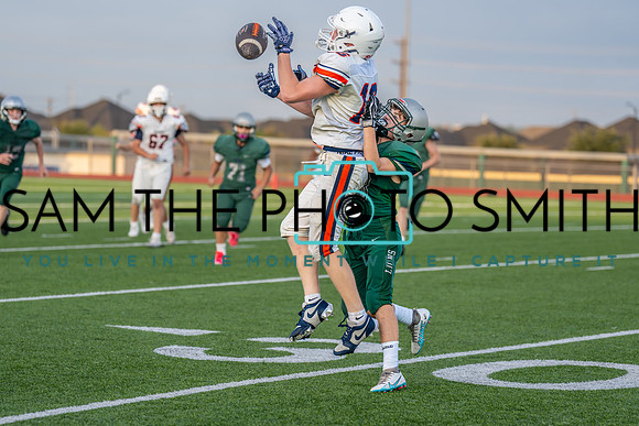 Vs. Wakeland-80