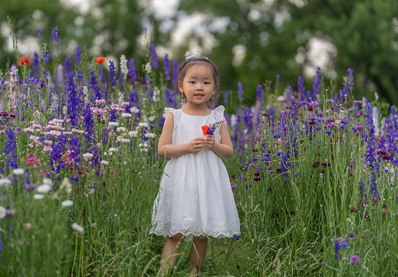 Nguyen Family Spring-90