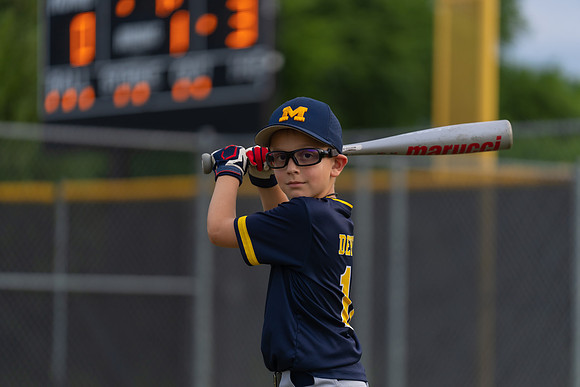 Wolverines_-138