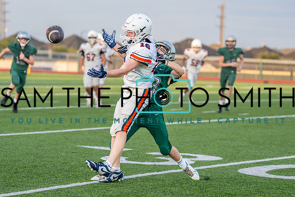 Vs. Wakeland-81
