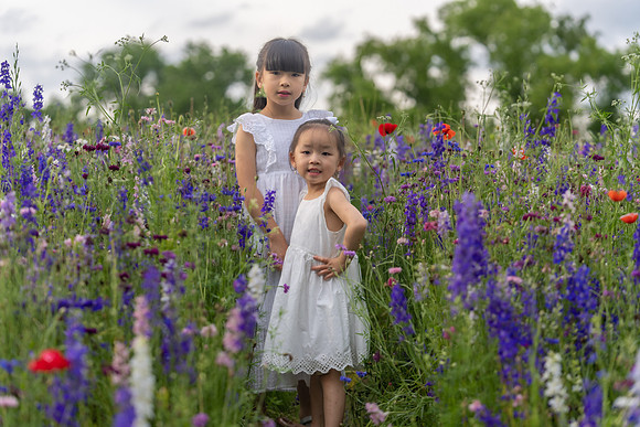 Nguyen Family Spring-4