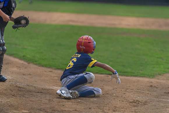Wolverines_-150
