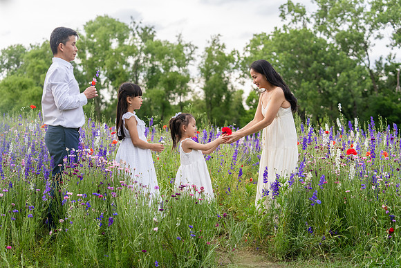 Nguyen Family Spring-123