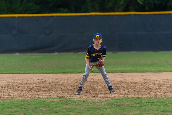 Wolverines_-200