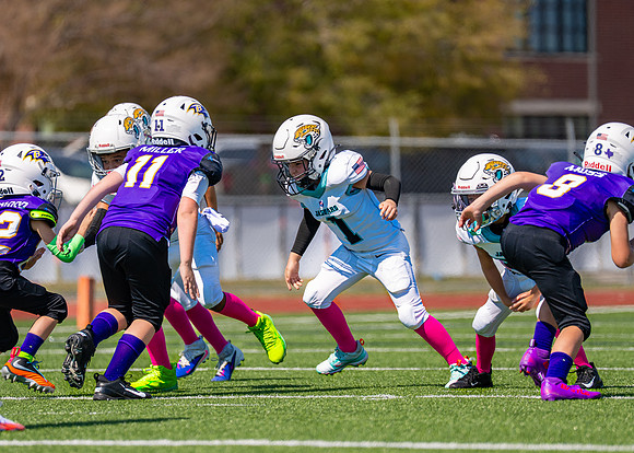 8U Jags Vs. Ravens-34