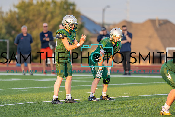 Vs. Wakeland-88