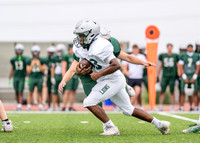 Spring Game-8
