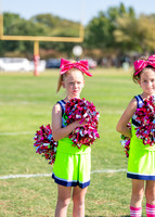 10U Seahawks Cheer Sideline-4