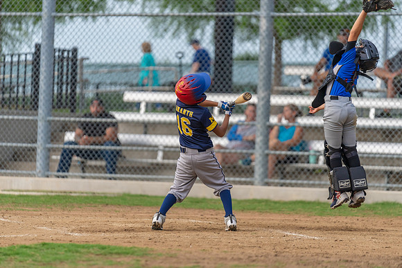 Wolverines_-142