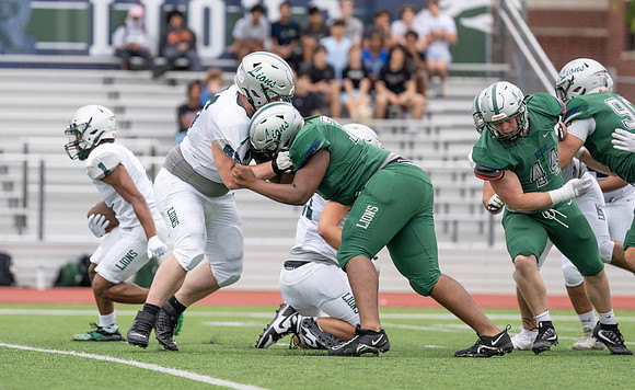 Spring Game-5