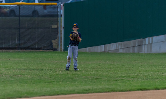 Wolverines_-220