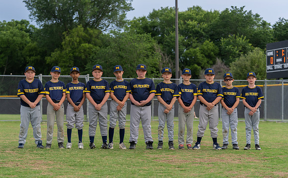 Wolverines_-2